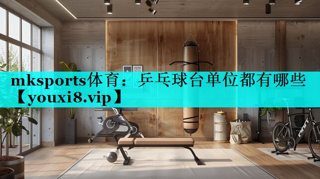 乒乓球台单位都有哪些