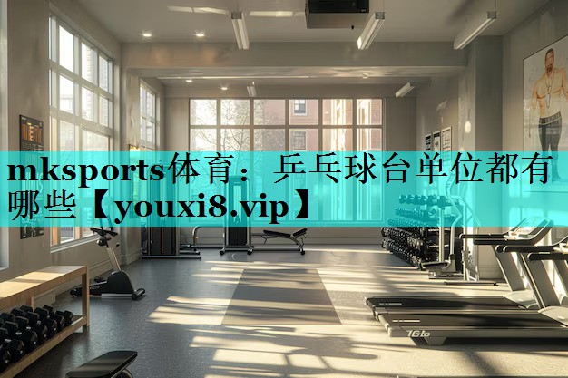 乒乓球台单位都有哪些